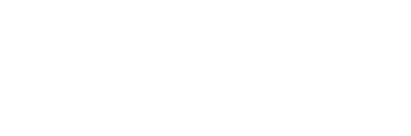 Wake Tech Logo - White sans-serif type with torch icon in center
